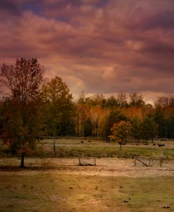 Autumn In The Country