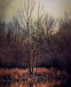 Warm Winter Peace