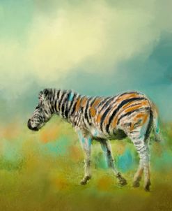 Summer Zebra 2