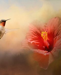 Romancing The Hibiscus