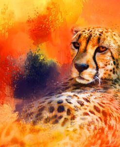 Colorful Expressions Cheetah