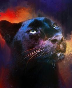 Colorful Expressions Black Leopard