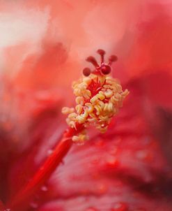 Glorious Bloom