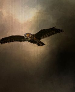 Night of The Owl 2