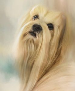 Portrait Of A Lhasa Apso