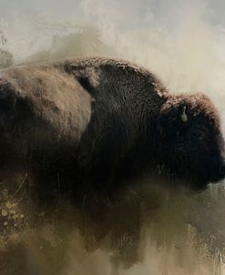 Abstract American Bison