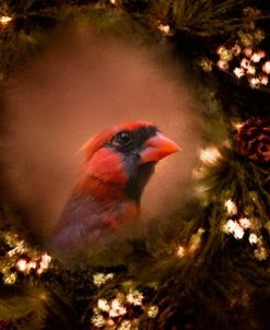 Resting In The Wreath