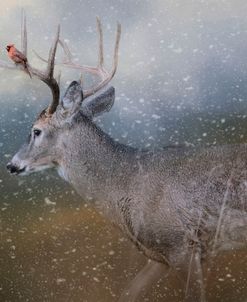 HitchHiker In The Snow Storm