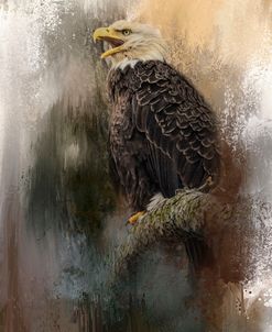 Winter Eagle 3