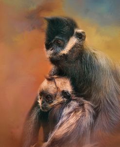 Mom And Baby Francois Langur