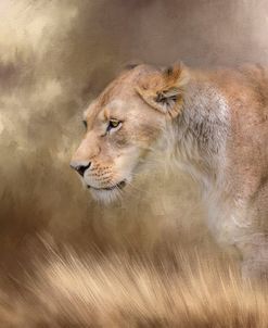 Lioness In Spring