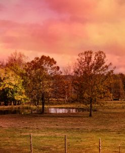 Autumn At The Cattle Farm