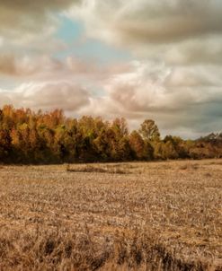 Autumn In The Country