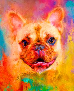 Jazzy French Bulldog