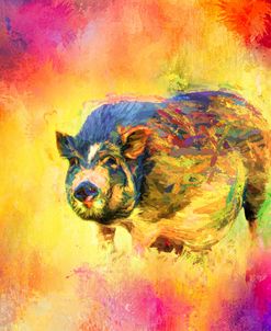 Jazzy Pig