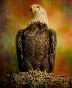The Bald Eagle In Autumn