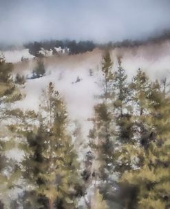 Winter Impressions In Colorado 3