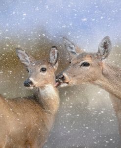 A Mother’s Love