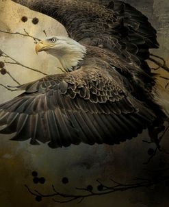 Eagle Rising