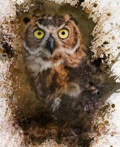 Great Horned Owl In The Cemetery