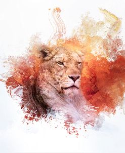 Expressions Lion 2