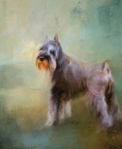 Schnauzer On Patrol