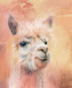 The Charismatic Alpaca