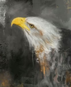 The Mighty Bald Eagle