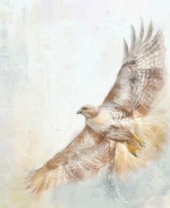Angel Hawk
