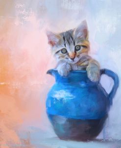 A Pitcher Full of Purrfection