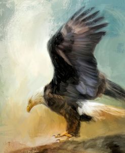 Dance Of The Bald Eagle