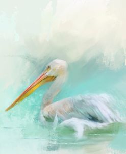 The White Pelican