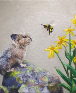 A Pika and a Bumblebee