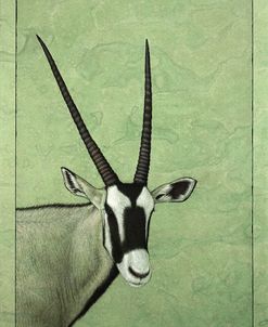 Gemsbok