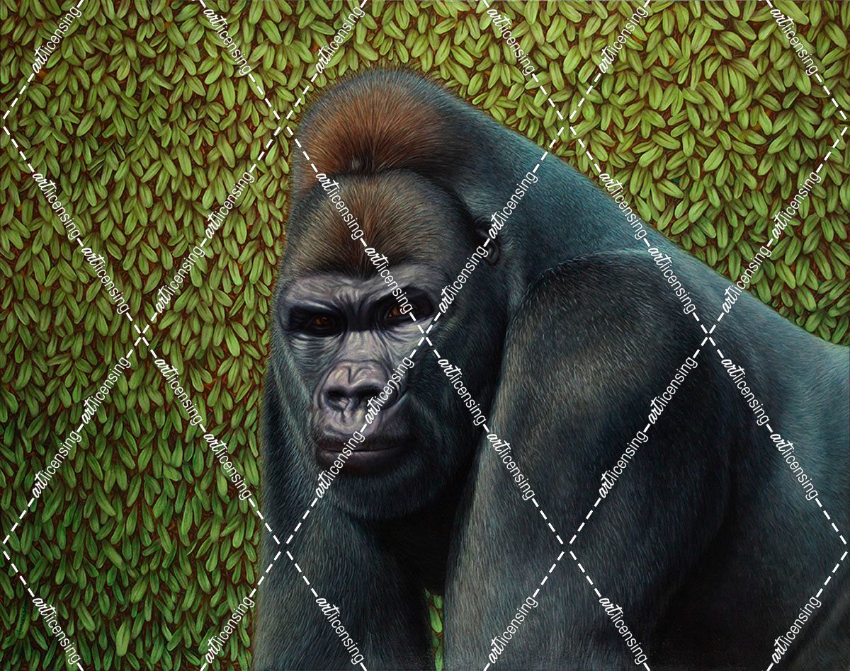 Gorilla With A Hedge