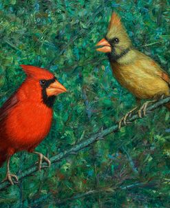 Cardinal Couple