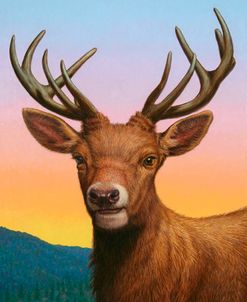 Reddeer
