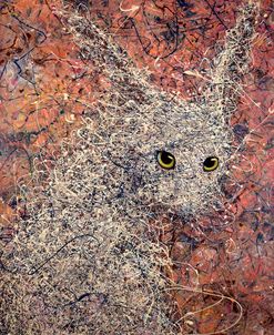 Wild Hare