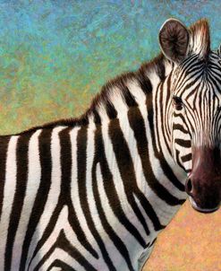 Portrait Of A Zebra