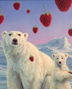 Polar Berries