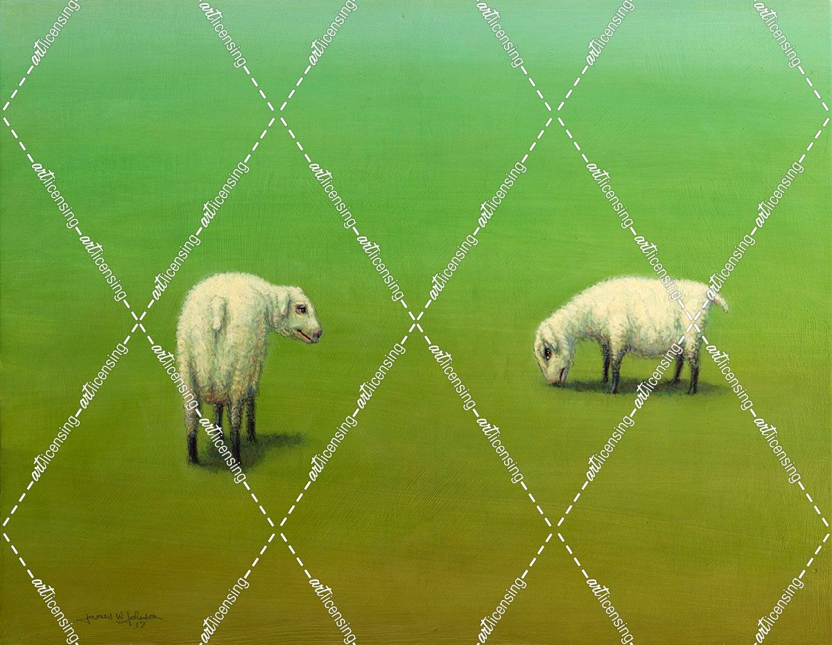 Study of Two Sheep