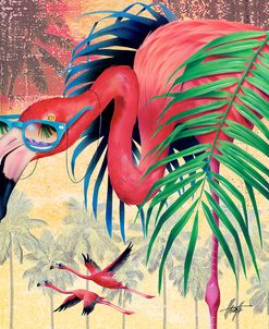 Cool Flamingoes