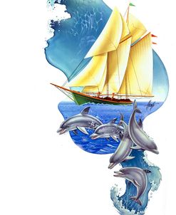 Sailboat Dolphin Wave