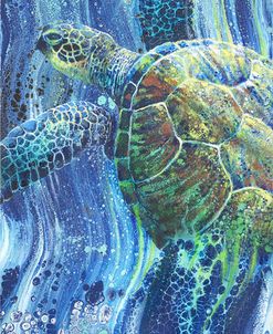 Splash Dance Turt