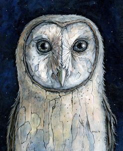 Barn Owl I