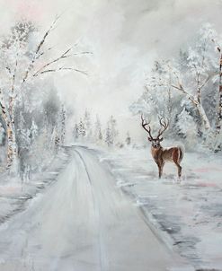 A Winters Drive