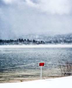 Big Bear Keep Out Snow