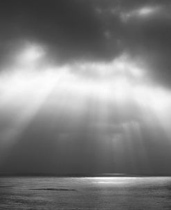 Hwy 101 BW Rays