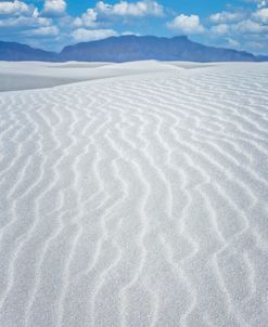 Whitesands New Mexico Day