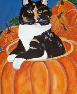 Matisse In A Pumpkin